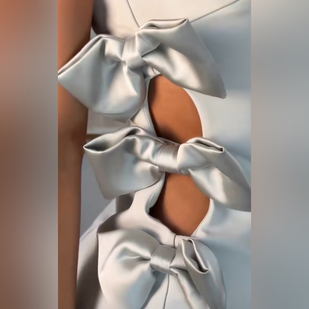 NWT Zara Bow midi dress - Picture 16 of 16